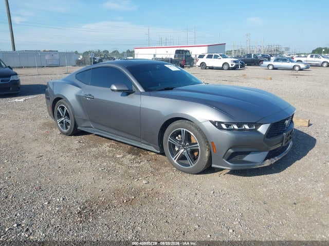 Продажа на аукционе авто 2024 Ford Mustang Ecoboost Fastback, vin: 1FA6P8TH3R5107345, номер лота: 45980228