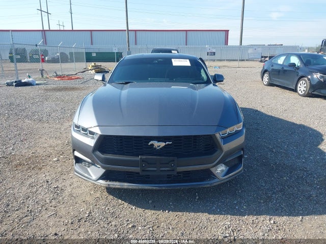 Продажа на аукционе авто 2024 Ford Mustang Ecoboost Fastback, vin: 1FA6P8TH3R5107345, номер лота: 45980228