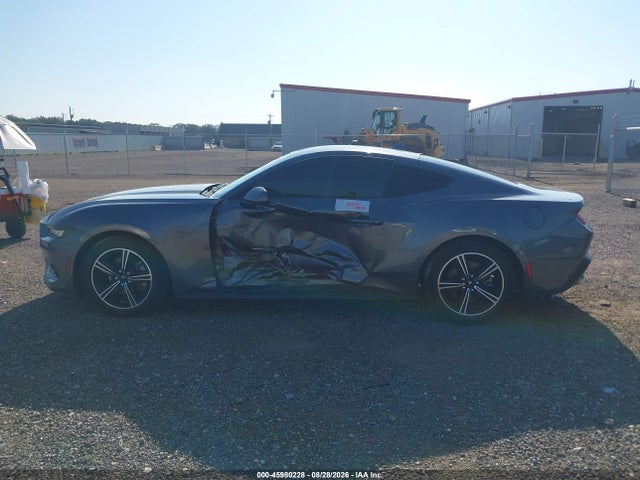 Продажа на аукционе авто 2024 Ford Mustang Ecoboost Fastback, vin: 1FA6P8TH3R5107345, номер лота: 45980228