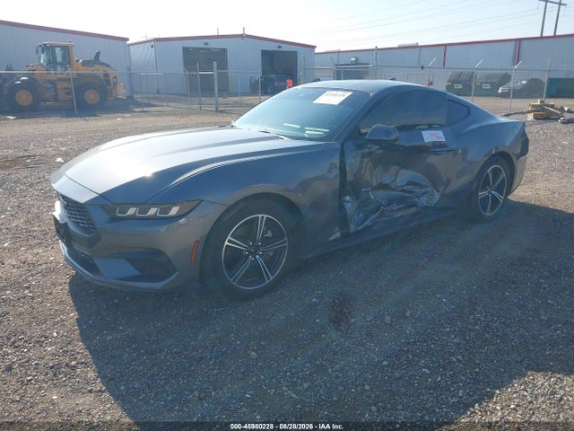 Продажа на аукционе авто 2024 Ford Mustang Ecoboost Fastback, vin: 1FA6P8TH3R5107345, номер лота: 45980228