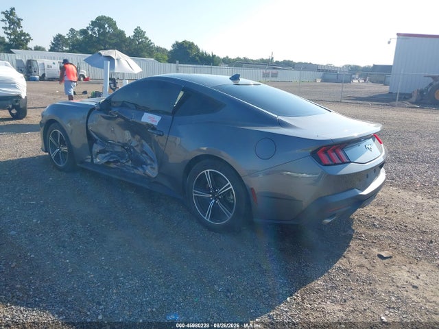 Продажа на аукционе авто 2024 Ford Mustang Ecoboost Fastback, vin: 1FA6P8TH3R5107345, номер лота: 45980228