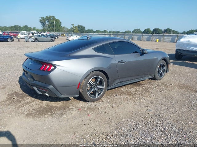 Продажа на аукционе авто 2024 Ford Mustang Ecoboost Fastback, vin: 1FA6P8TH3R5107345, номер лота: 45980228