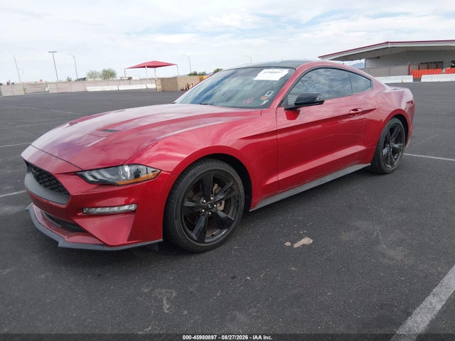 Ford Mustang Ecoboost Fastback 2022 1FA6P8TH8N5133191 Image 2
