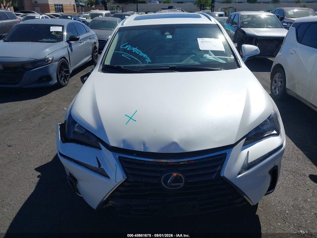 Продаж на аукціоні авто 2019 Lexus Nx 300, vin: JTJYARBZ1K2145231, номер лоту: 45981675