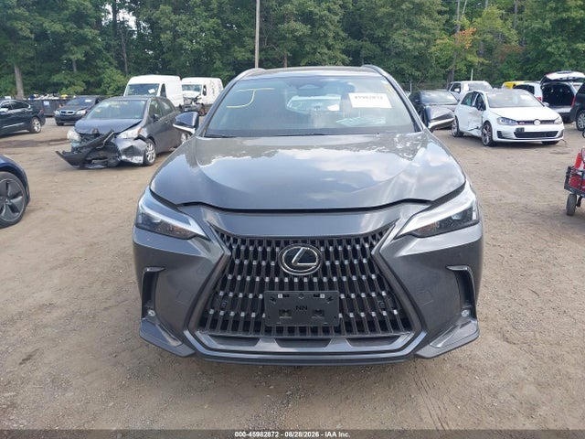 Продажа на аукционе авто 2025 Lexus Nx 350 Premium, vin: 2T2GGCEZXSC092273, номер лота: 45982872