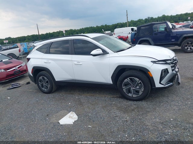 Продаж на аукціоні авто 2025 Hyundai Tucson Hybrid Blue, vin: KM8JBDD19SU341977, номер лоту: 45982960