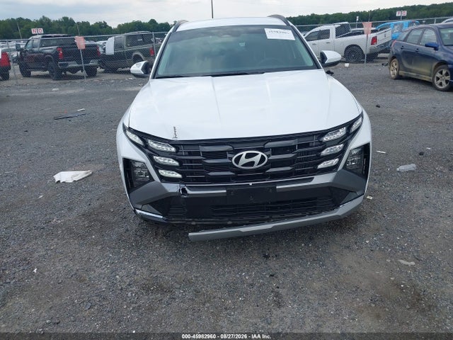 Продаж на аукціоні авто 2025 Hyundai Tucson Hybrid Blue, vin: KM8JBDD19SU341977, номер лоту: 45982960