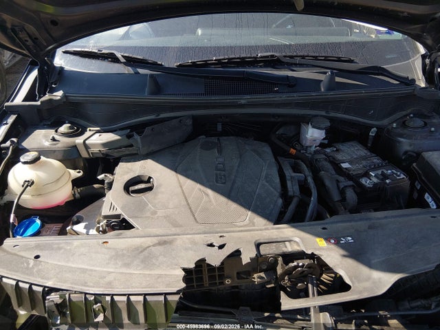 45983696 :رقم المزاد ، 5XYK6CAF5PG117752 vin ، 2023 Kia Sportage X-line مزاد بيع