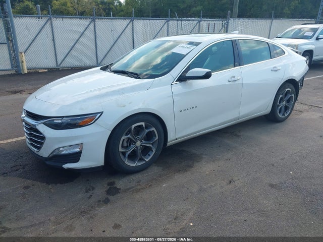 1G1ZD5ST5LF117230 Chevrolet Malibu Fwd Lt