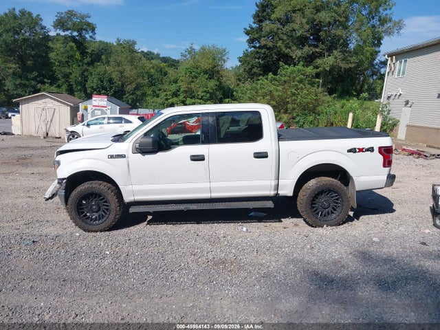 45984143 :رقم المزاد ، 1FTEW1E53KFA45948 vin ، 2019 Ford F-150 Xlt مزاد بيع