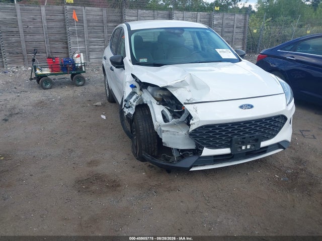 45985778 :رقم المزاد ، 1FMCU0F64MUA04981 vin ، 2021 Ford Escape S مزاد بيع