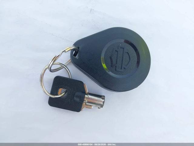 Aukcja sprzedaży 2019 Harley-davidson Flhtcutg, vin: 1HD1MAF33KB854857, numer aukcji: 45986104