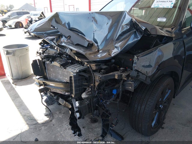 Hyundai Palisade Xrt 2025 KM8R3DGE0SU852668 Image 6