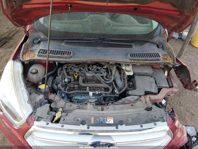 Ford ESCAPE SEL 2019 1FMCU9HD2KUB05529 Image 10