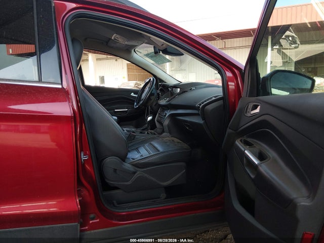Ford ESCAPE SEL 2019 1FMCU9HD2KUB05529 Image 5
