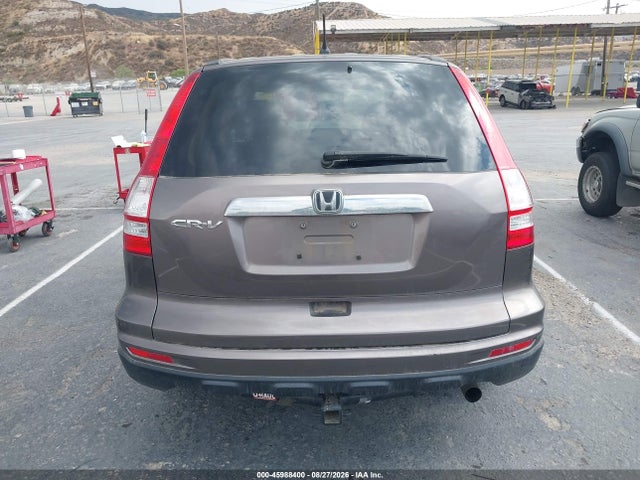 Продаж на аукціоні авто 2010 Honda Cr-v Ex, vin: 5J6RE3H59AL049301, номер лоту: 45988400