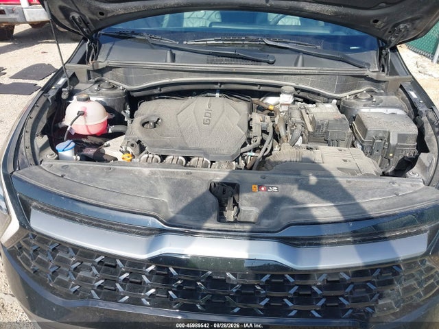 45989542 :رقم المزاد ، 5XYK6CDF6RG184939 vin ، 2024 Kia Sportage X-line مزاد بيع