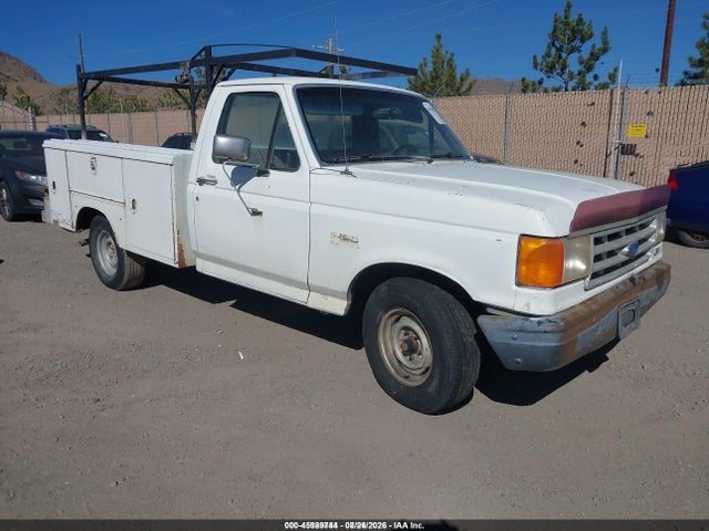 1991 Ford F150 მანქანა იყიდება აუქციონზე, vin: 1FTEF15Y7MKA37324, აუქციონის ნომერი: 45989744