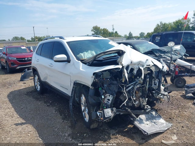 Auction sale of the 2016 Jeep Cherokee Limited, vin: 1C4PJMDS6GW227344, lot number: 45989982