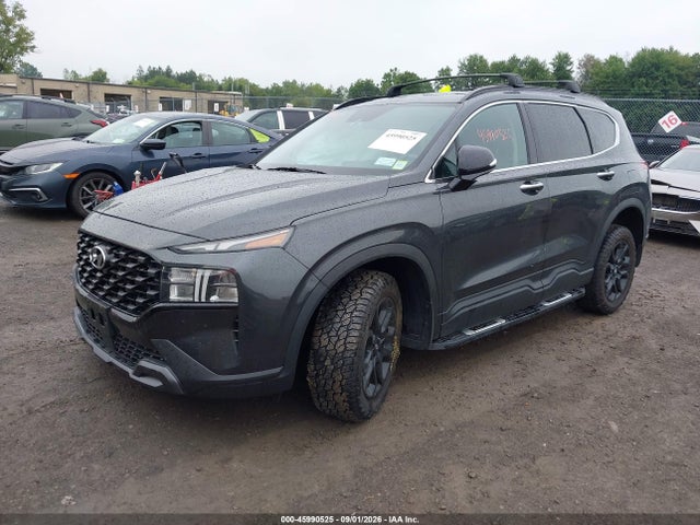 Продаж на аукціоні авто 2023 Hyundai Santa Fe Xrt, vin: 5NMS6DAJXPH532856, номер лоту: 45990525