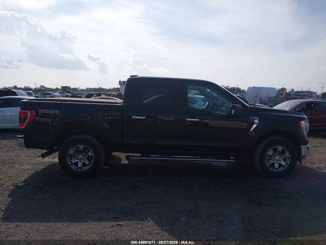 2023 Ford F-150 Xlt მანქანა იყიდება აუქციონზე, vin: 1FTFW1E85PKF93687, აუქციონის ნომერი: 45991071