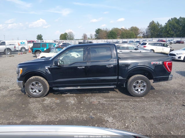 2023 Ford F-150 Xlt მანქანა იყიდება აუქციონზე, vin: 1FTFW1E85PKF93687, აუქციონის ნომერი: 45991071