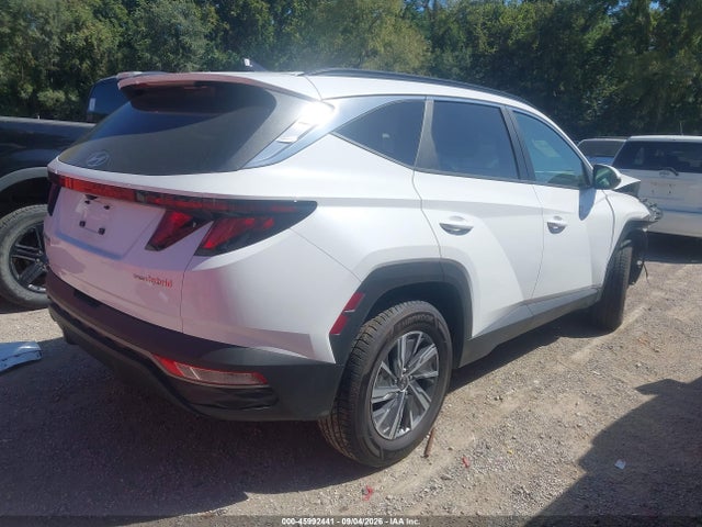 45992441 :رقم المزاد ، KM8JBCD16RU199933 vin ، 2024 Hyundai Tucson Hybrid Blue مزاد بيع