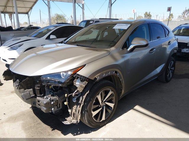 Продаж на аукціоні авто 2021 Lexus Nx 300, vin: JTJGARBZ1M2195383, номер лоту: 45992534