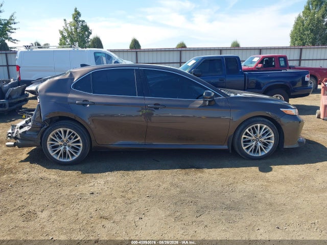 4T1B11HK4KU709569 Toyota CAMRY XLE