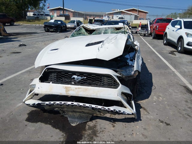 Продаж на аукціоні авто 2021 Ford Mustang Ecoboost Fastback, vin: 1FA6P8TH2M5145027, номер лоту: 45993918