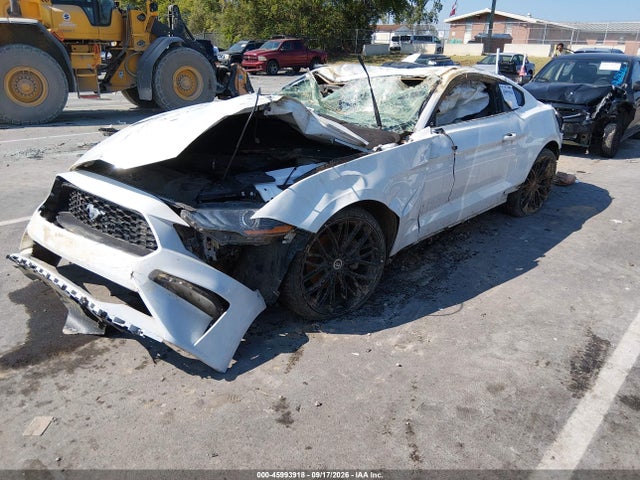 Продаж на аукціоні авто 2021 Ford Mustang Ecoboost Fastback, vin: 1FA6P8TH2M5145027, номер лоту: 45993918
