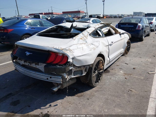 Продаж на аукціоні авто 2021 Ford Mustang Ecoboost Fastback, vin: 1FA6P8TH2M5145027, номер лоту: 45993918