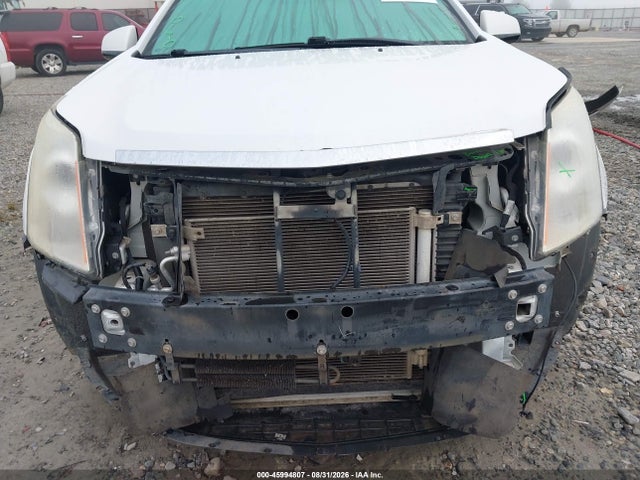 Auction sale of the 2012 Cadillac Srx Performance Collection, vin: 3GYFNBE36CS654146, lot number: 45994807