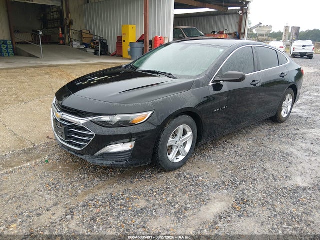 45995491 :رقم المزاد ، 1G1ZC5ST2MF002413 vin ، 2021 Chevrolet Malibu Fwd 1fl مزاد بيع