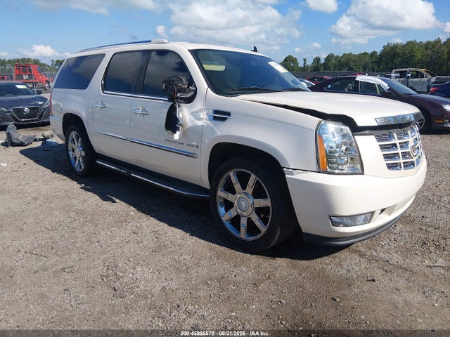 Продажа на аукционе авто 2008 Cadillac Escalade Esv Standard, vin: 1GYFK66858R236570, номер лота: 45995570