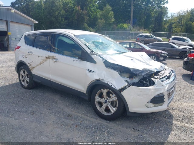 Auction sale of the 2014 Ford Escape Se, vin: 1FMCU0GX5EUE06341, lot number: 45995572