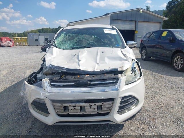 Aukcja sprzedaży 2014 Ford Escape Se, vin: 1FMCU0GX5EUE06341, numer aukcji: 45995572