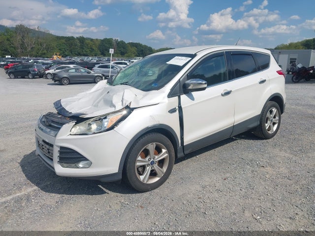 Aukcja sprzedaży 2014 Ford Escape Se, vin: 1FMCU0GX5EUE06341, numer aukcji: 45995572