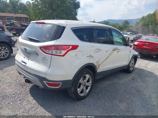 Aukcja sprzedaży 2014 Ford Escape Se, vin: 1FMCU0GX5EUE06341, numer aukcji: 45995572