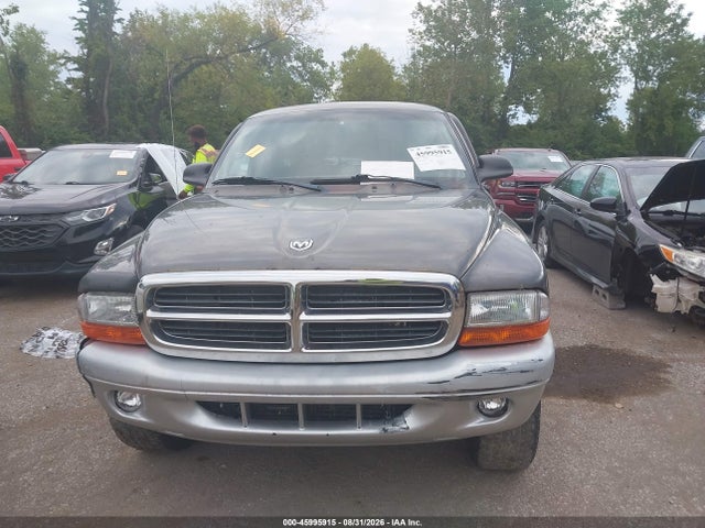 Продажа на аукционе авто 2004 Dodge Dakota Slt, vin: 1D7HG42N84S713615, номер лота: 45995915