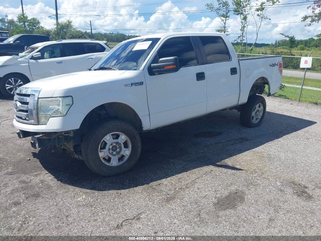 Продаж на аукціоні авто 2012 Ford F-150 Xlt, vin: 1FTFW1EF6CFA34537, номер лоту: 45996212