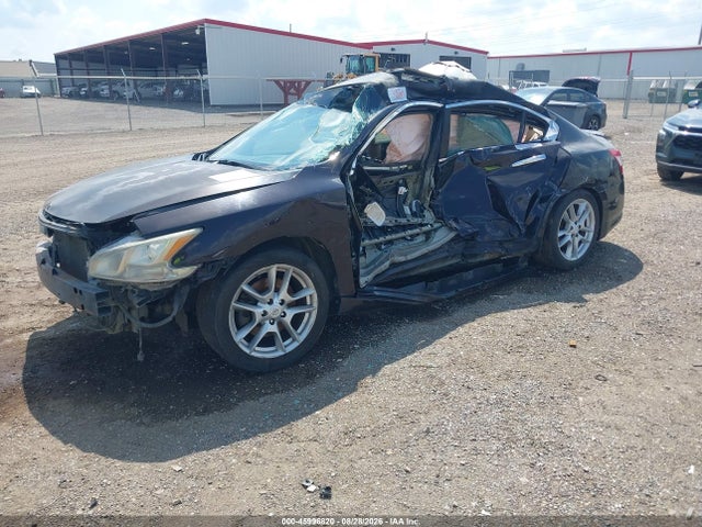 45996820 :رقم المزاد ، 1N4AA5APXAC828167 vin ، 2010 Nissan Maxima 3.5 Sv مزاد بيع