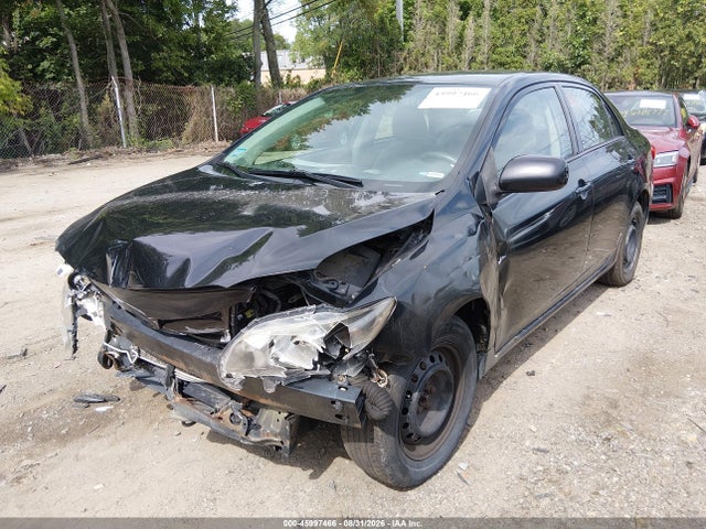 45997466 :رقم المزاد ، 2T1BU4EE4BC537410 vin ، 2011 Toyota Corolla Le مزاد بيع