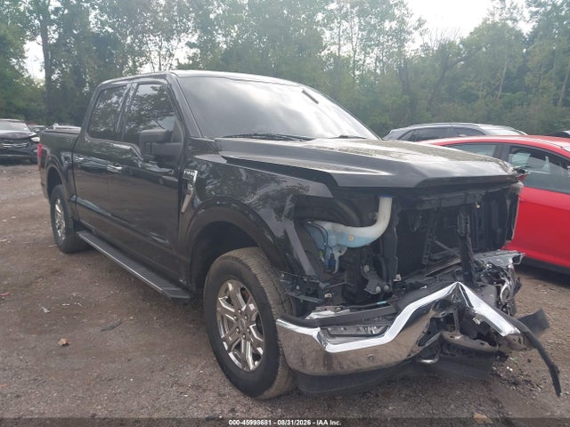 45998681 :رقم المزاد ، 1FTEW1EP9MFA57980 vin ، 2021 Ford F-150 Xlt مزاد بيع