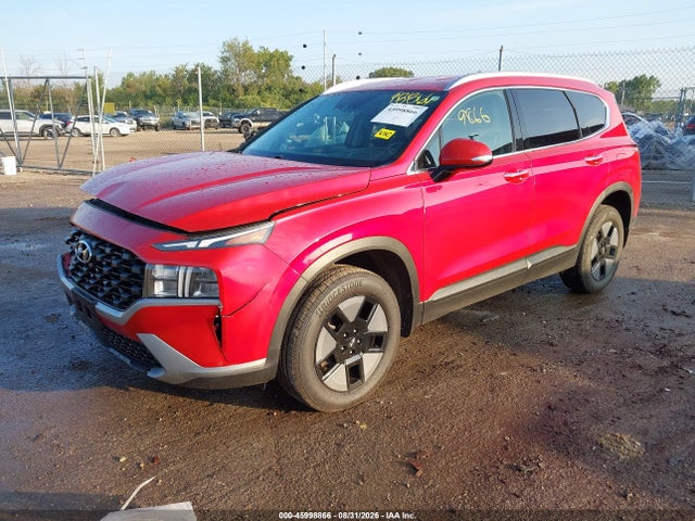 2023 Hyundai Santa Fe Sel მანქანა იყიდება აუქციონზე, vin: 5NMS2DAJ3PH500942, აუქციონის ნომერი: 45998866