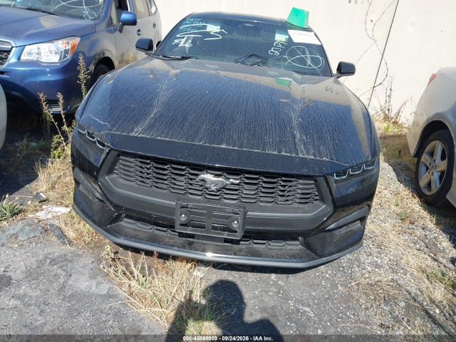 Ford Mustang Ecoboost Premium Fastback 2024 1FA6P8TH3R5131256 Image 13
