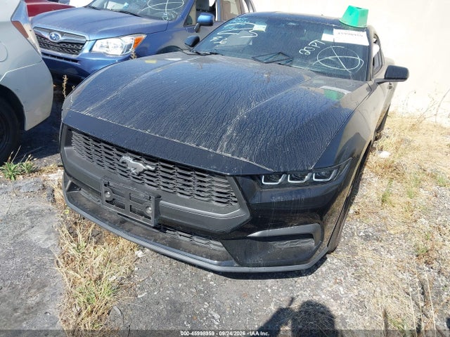 Ford Mustang Ecoboost Premium Fastback 2024 1FA6P8TH3R5131256 Image 2