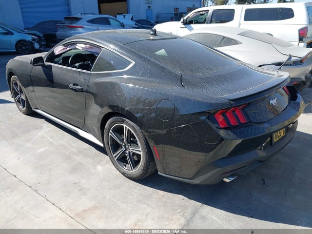 Ford Mustang Ecoboost Premium Fastback 2024 1FA6P8TH3R5131256 Image 3