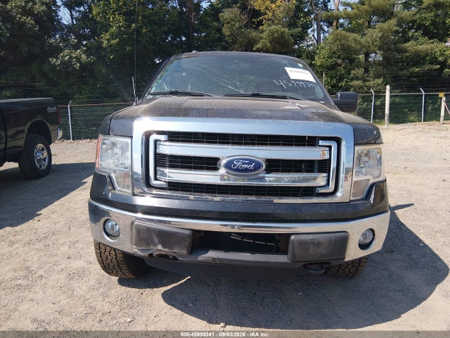 Продаж на аукціоні авто 2014 Ford F-150 Xlt, vin: 1FTEX1EM7EFB21406, номер лоту: 45999341
