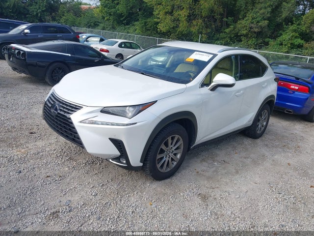 45999773 :رقم المزاد ، JTJBJRBZ3J2076854 vin ، 2018 Lexus Nx 300h مزاد بيع